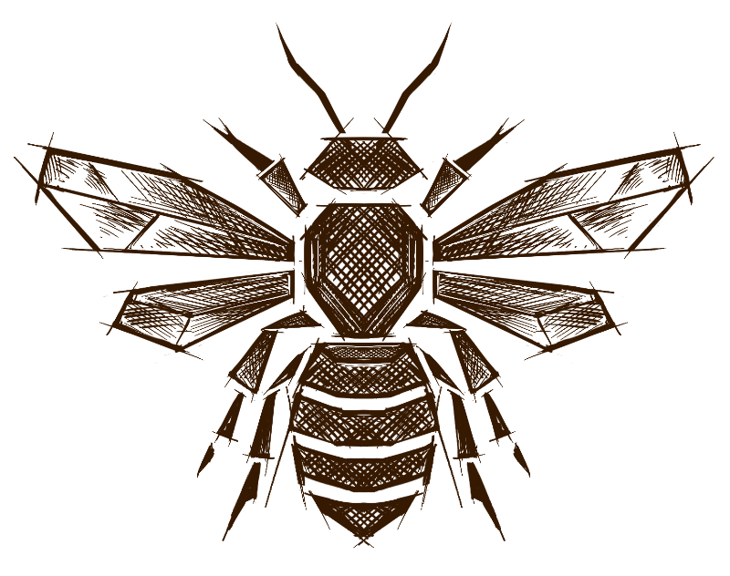 chocolat-ethique-abeille