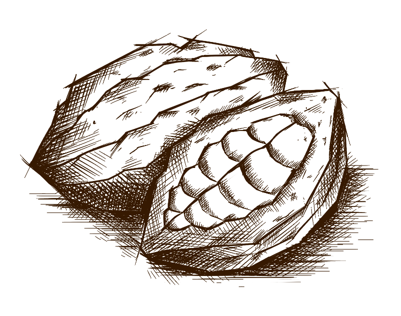 chocolat-ethique-cabosse
