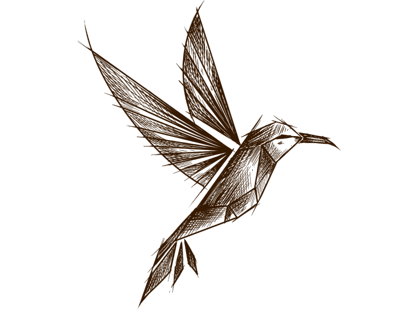 chocolat-ethique-oiseau