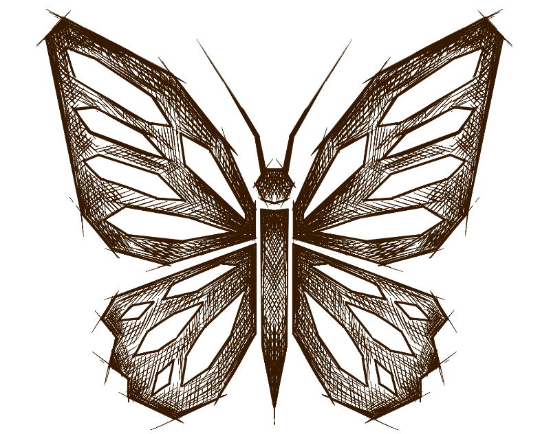 chocolat-ethique-papillon