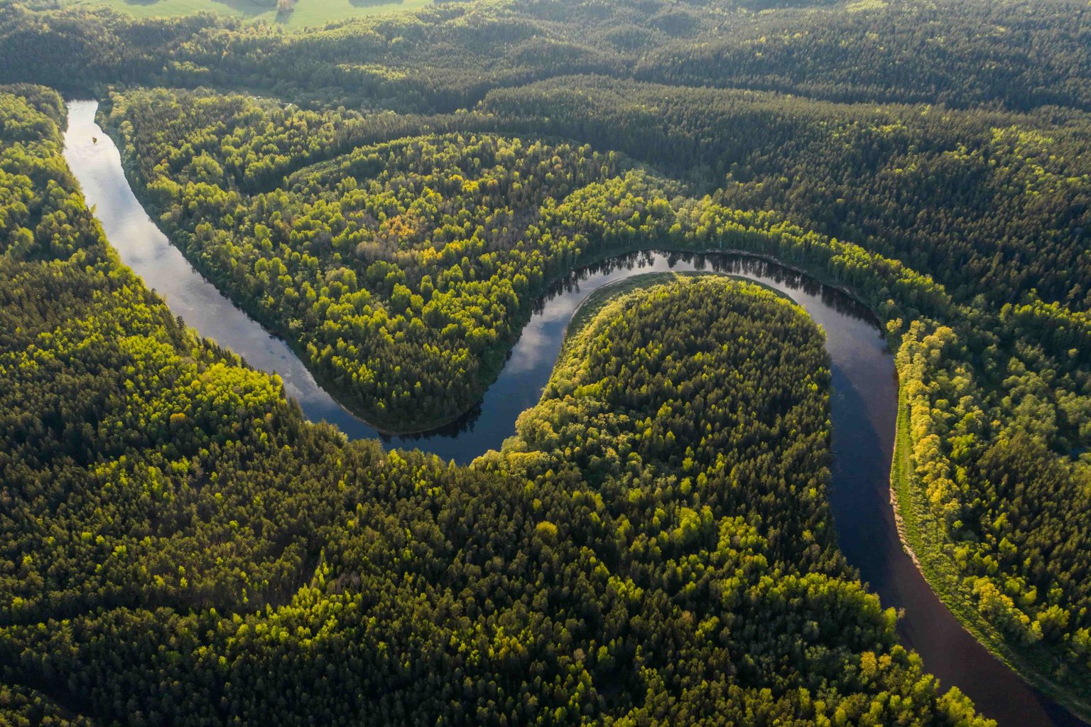 comprendre-le-cacao-fleuve