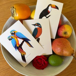 set-de-3-cartes-avec-enveloppes